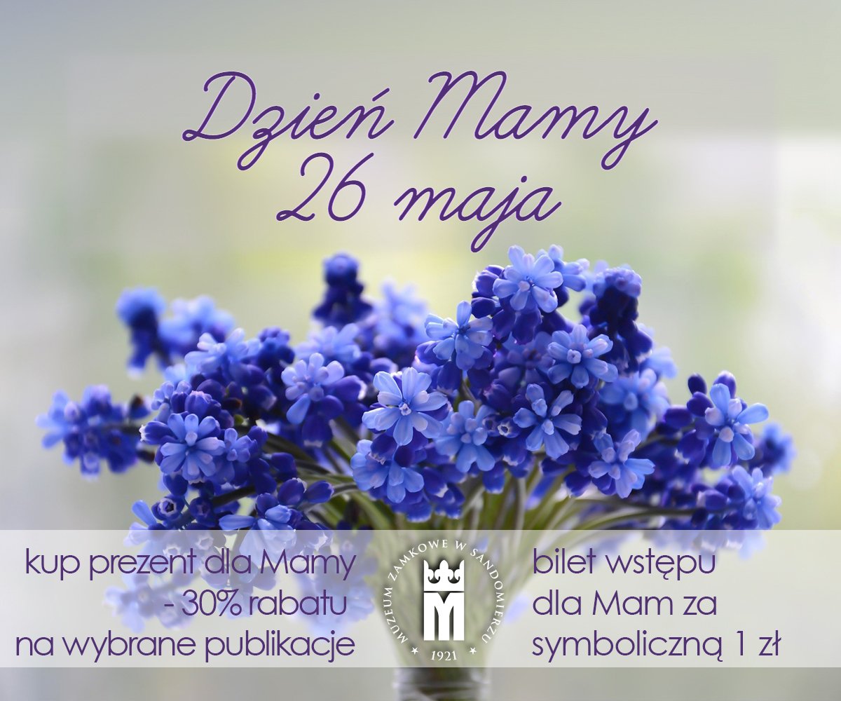 2023mamy